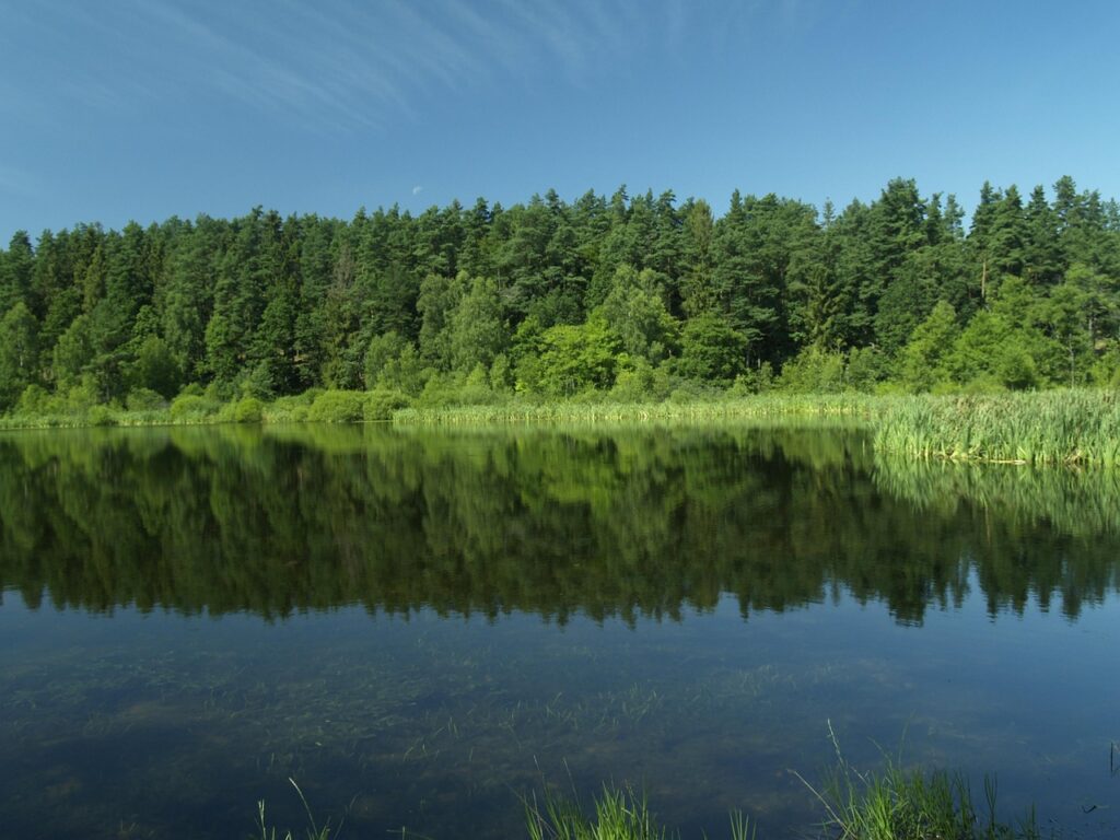 Gdzie na weekend w Kaszuby? Sprawdź spokojne okolice Nawcza